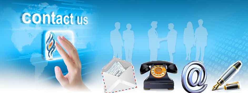 Contact Us